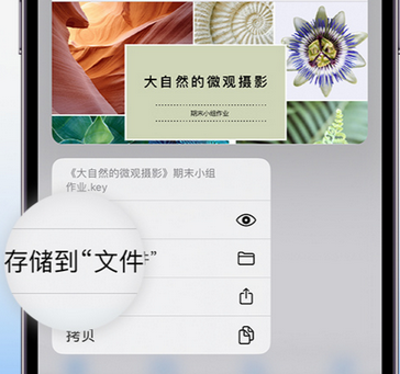 文峰apple维修中心分享iPhone文件应用中存储和找到下载文件