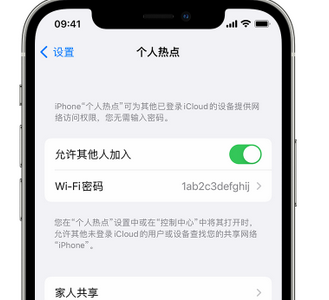 文峰apple服务站点分享iPhone上个人热点丢失了怎么办 