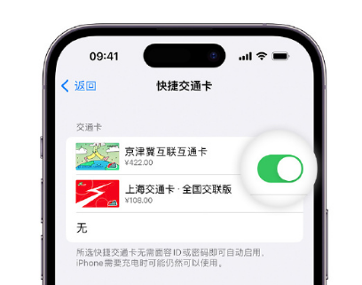 文峰apple维修点分享iPhone上更换Apple Pay快捷交通卡手绘卡面 