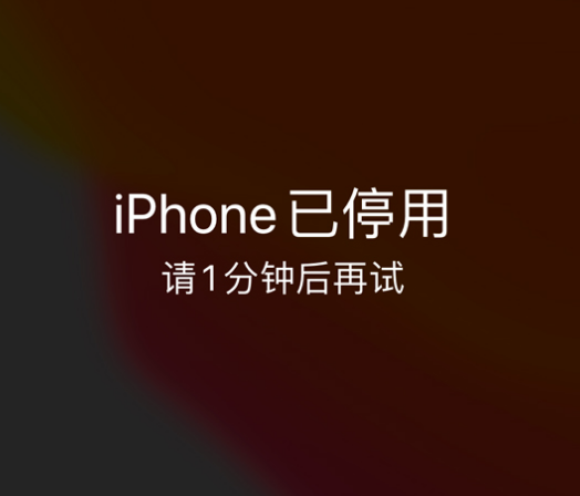 文峰苹果手机维修分享:iPhone 显示“不可用”或“已停用”怎么办？还能保留数据吗？ 