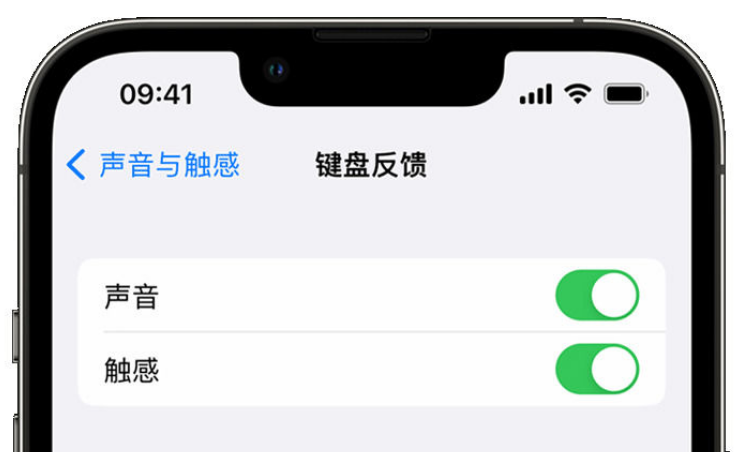 文峰苹果手机维修分享iPhone 14触感键盘使用方法 