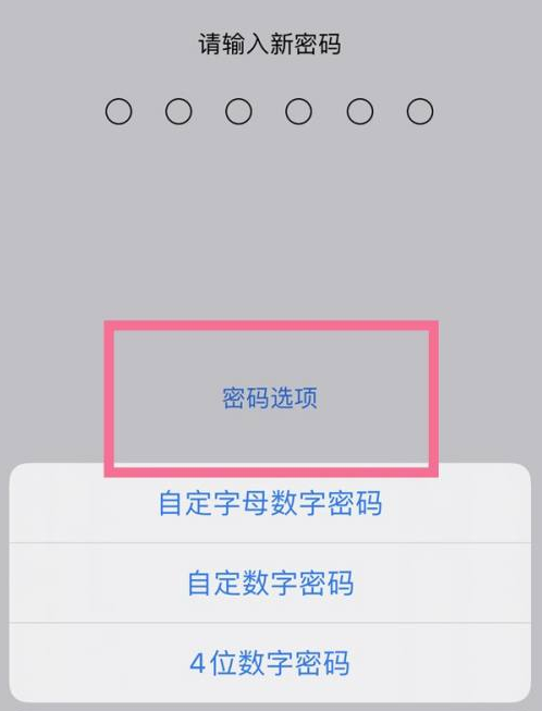 文峰苹果14维修分享iPhone 14plus设置密码的方法 