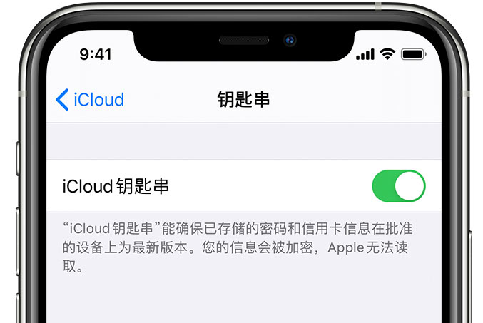 文峰苹果手机维修分享在 iPhone 上开启 iCloud 钥匙串之后会储存哪些信息 