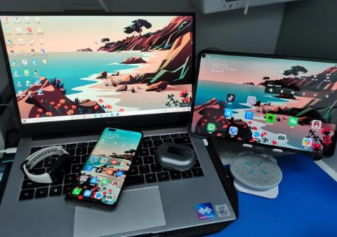 文峰苹果手机维修分享为什么iPad屏幕更大价格却比iPhone低 