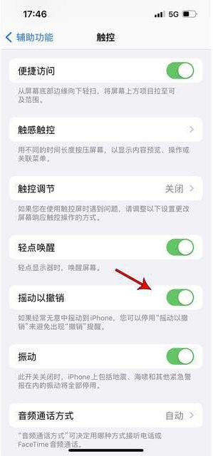 文峰苹果手机维修分享iPhone手机如何设置摇一摇删除文字 
