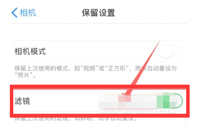 文峰苹果13维修分享iPhone13拍照有绿点是怎么回事 