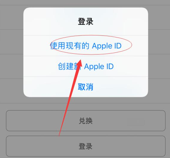 文峰苹果手机维修分享两台iPhone设备可以同时登录一个Apple ID吗 